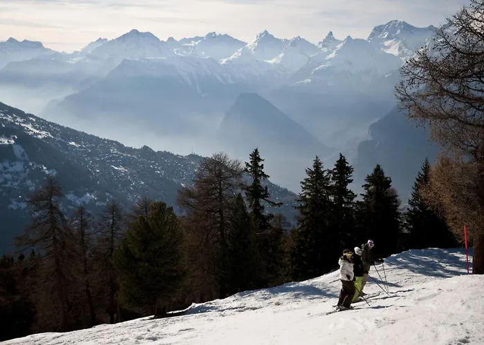 Magrappe M 647 - Lift 5 Pers Veysonnaz